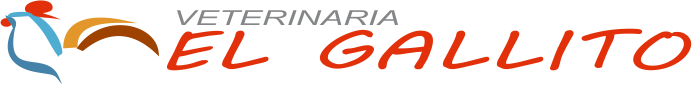 IMG-LOGO